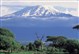 Adam's Climb for a Cure - Kilimanjaro